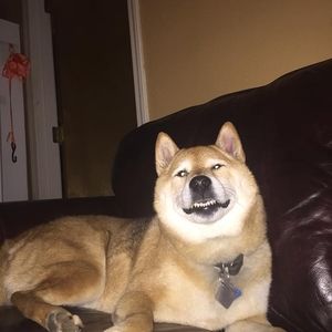 Meet your Posher, Joseph